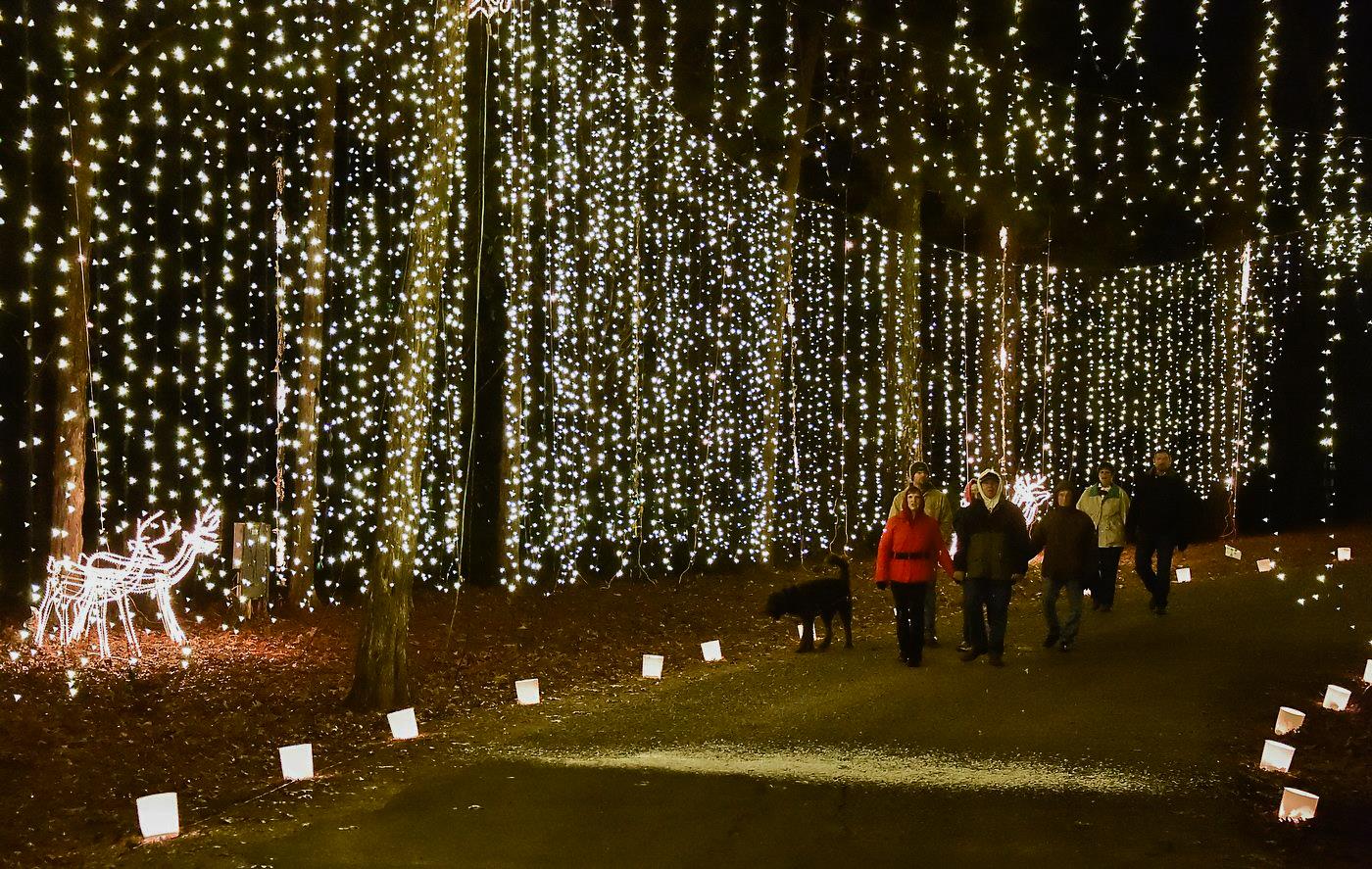 Galaxy of Lights